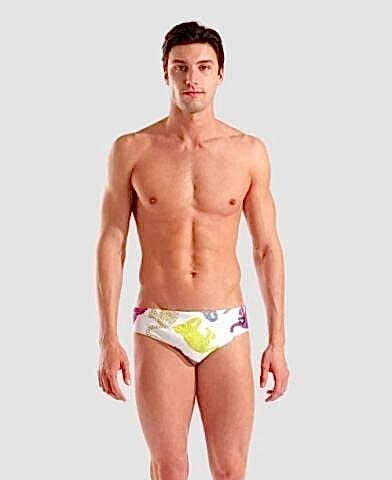 MEN'S ARENA IN THE WILD SWIM BRIEFS